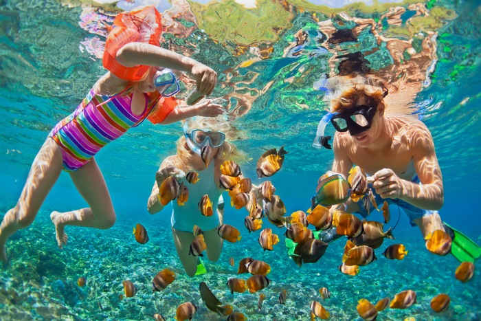 Beneath the Surface: Robalo's Guide to Snorkeling
