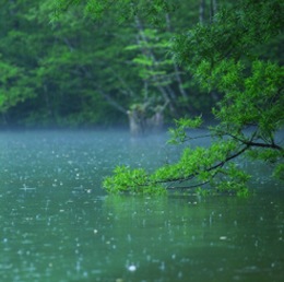 4 Smart Tips for Fishing in the Rain