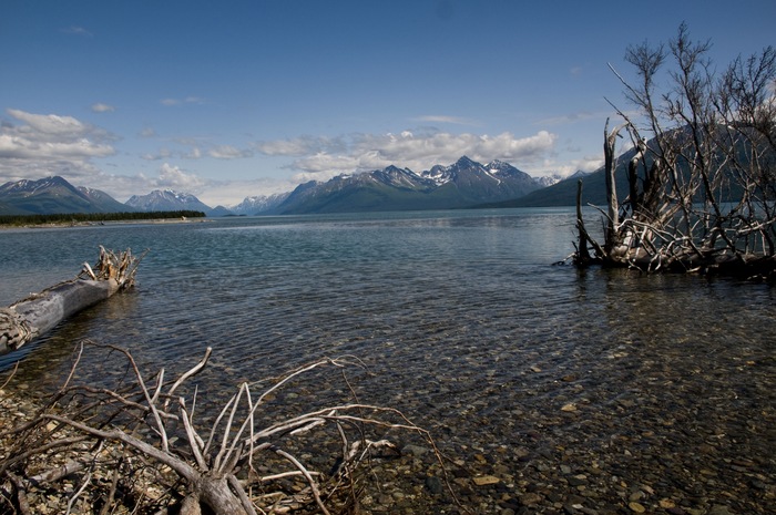 The Trip of a Lifetime: Angling Under Alaska’s Midnight Sun