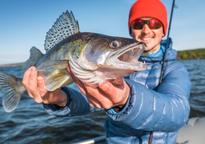 7 Ways to Identify Your Catch Every Time
