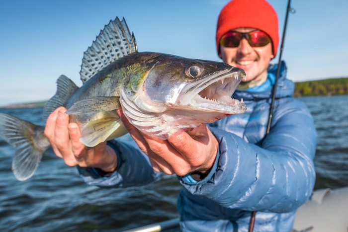 7 Ways to Identify Your Catch Every Time