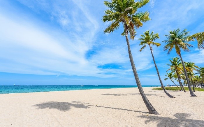 From Whiskey Creek to Sea: A Quieter Side of Fort Lauderdale Fishing