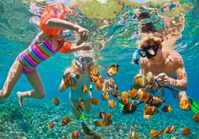 Beneath the Surface: Robalo's Guide to Snorkeling