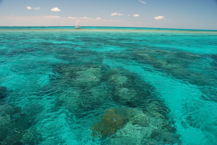 Miami Daycation: Exploring John Pennekamp Coral Reef State Park