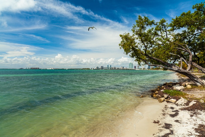 Must Do Miami: Our Top Boat Show Attractions for Anglers