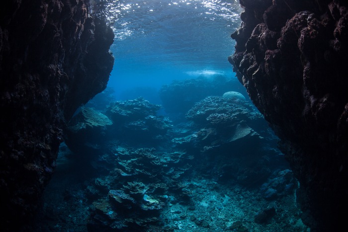 Australian Volcanoes and the Fish Who Call Them Home